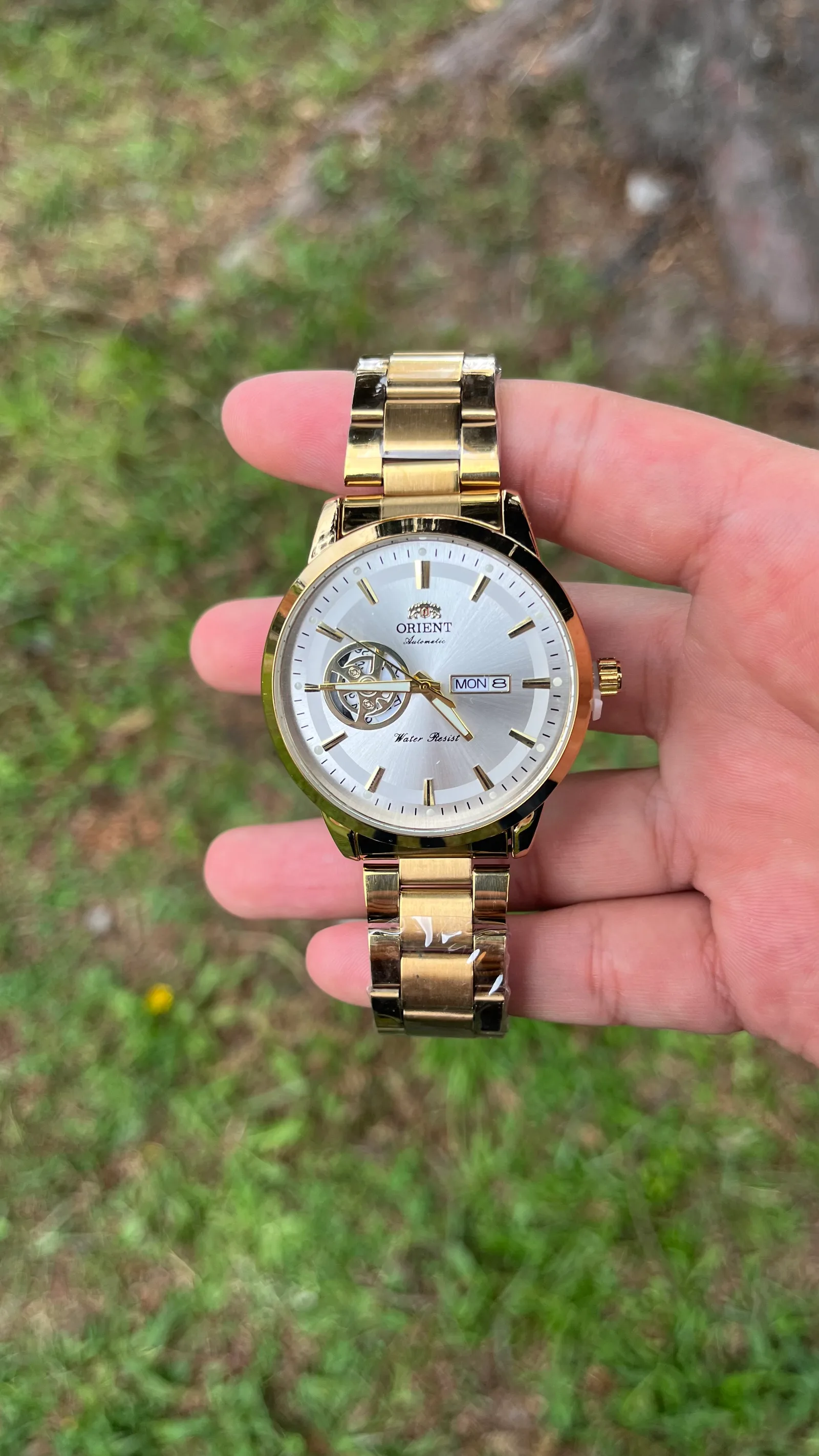 Ornt Semi-Skeleton — Dorado / Tablero Blanco